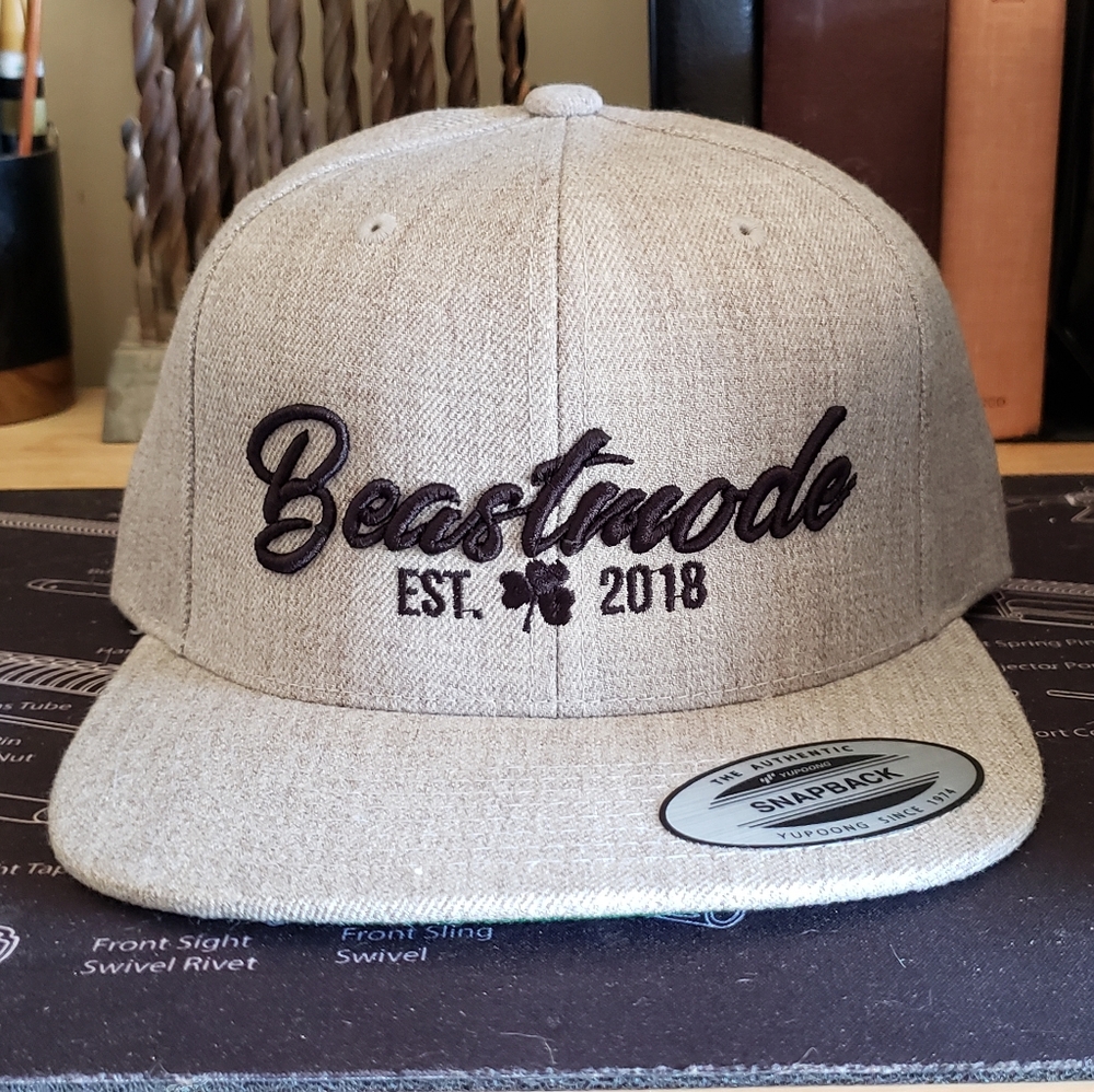 Beastmode snapback hat